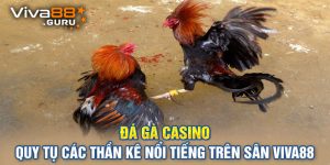 Đá Gà Casino - Quy Tụ Các Thần Kê Nổi Tiếng Trên Sân Viva88